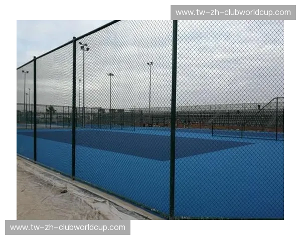 开云体育更新：为体育迷带来全新体验！